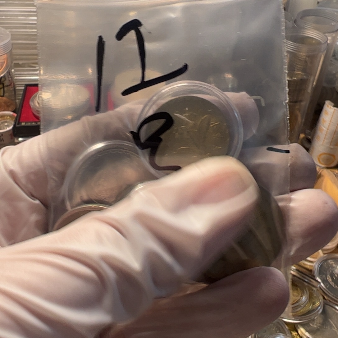 其他普通金属12号袋子瑕疵币