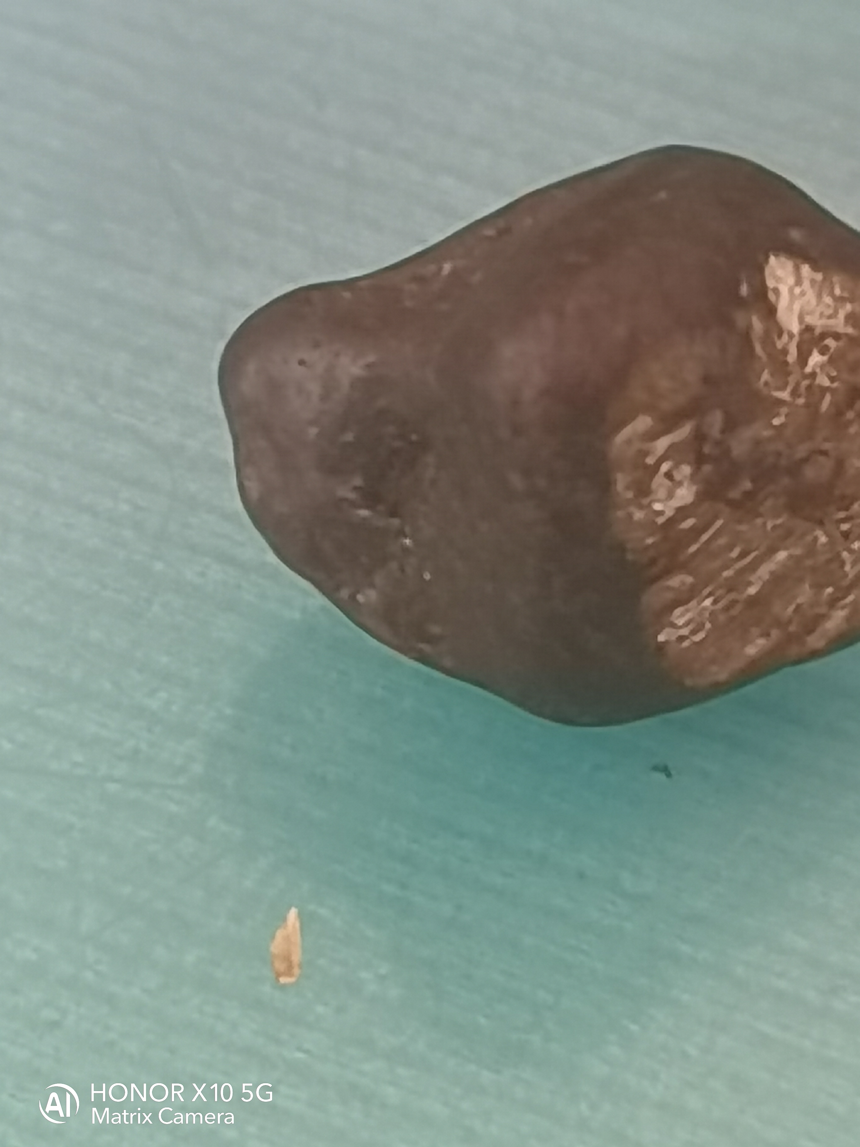 西北非球砾陨石L型