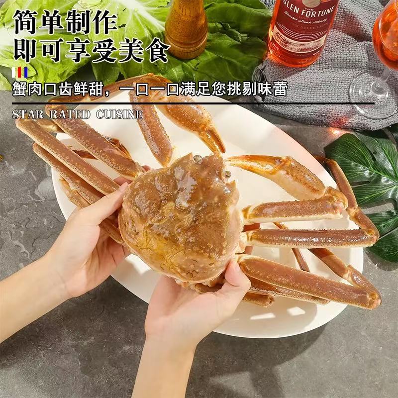 松叶蟹长脚蟹雪蟹高端礼盒单只装750g/只鲜活速冻