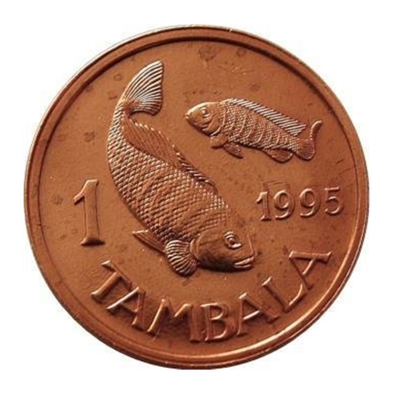 马拉维1坦巴拉分硬币 1995年 动物 鱼 全新非洲小直径17.3mm