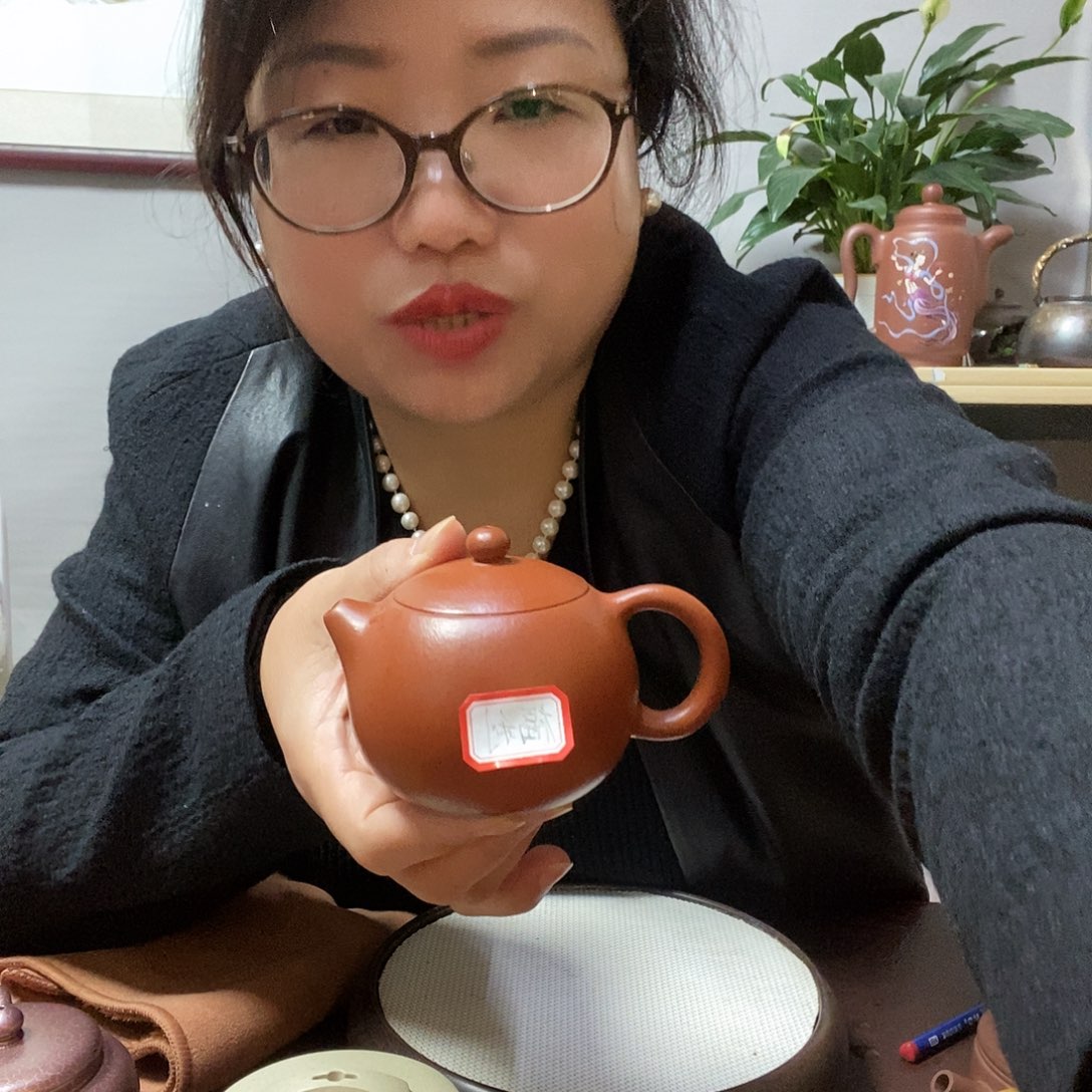 春***芽茶壶紫砂13467889999