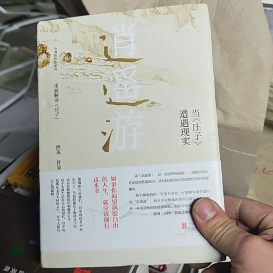当庄子遇见现实，遭遇现实，精装？