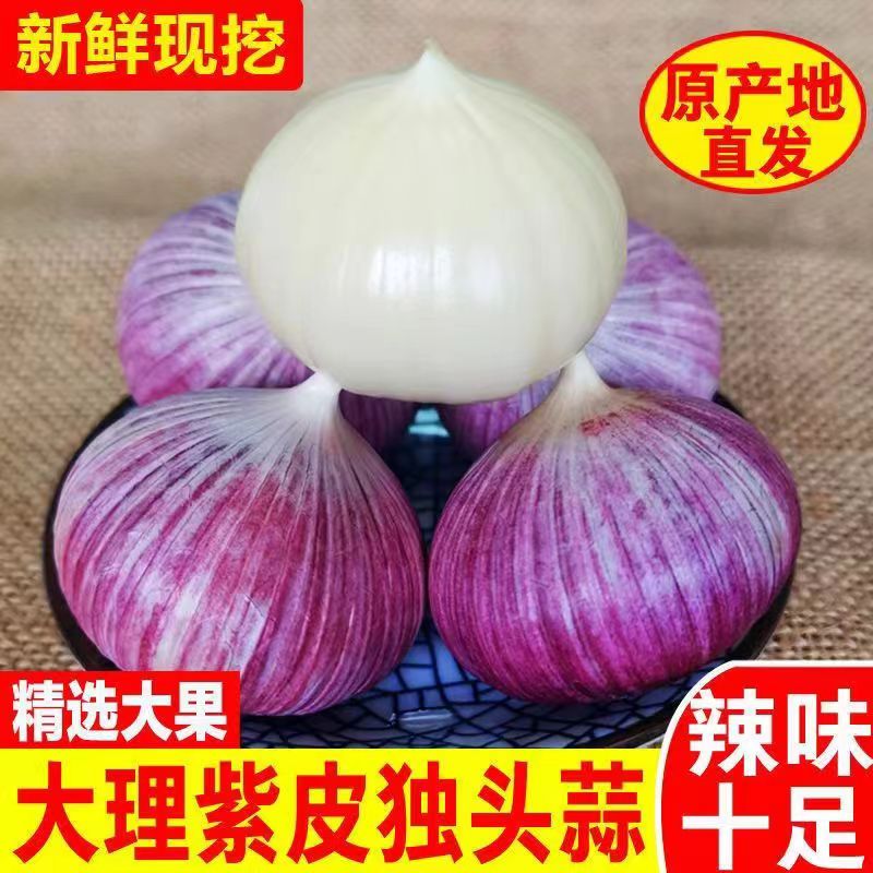 【超低价】正宗紫皮独头蒜大蒜头新晒干蒜批发2/3/5斤包邮
