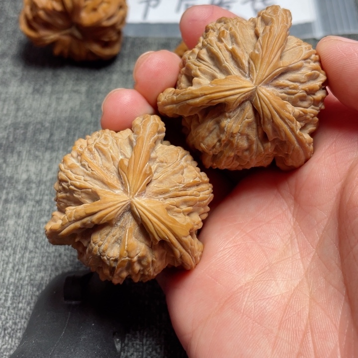 工艺三棱白狮子三棱