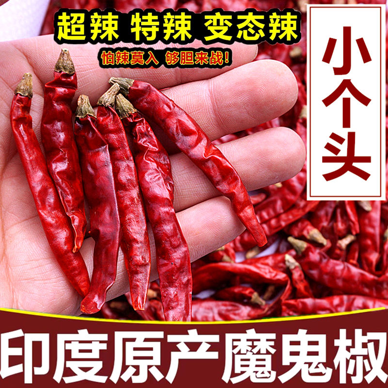 印度椒特辣小米椒魔鬼椒批发超辣椒粉面巨辣红干辣椒段朝天椒
