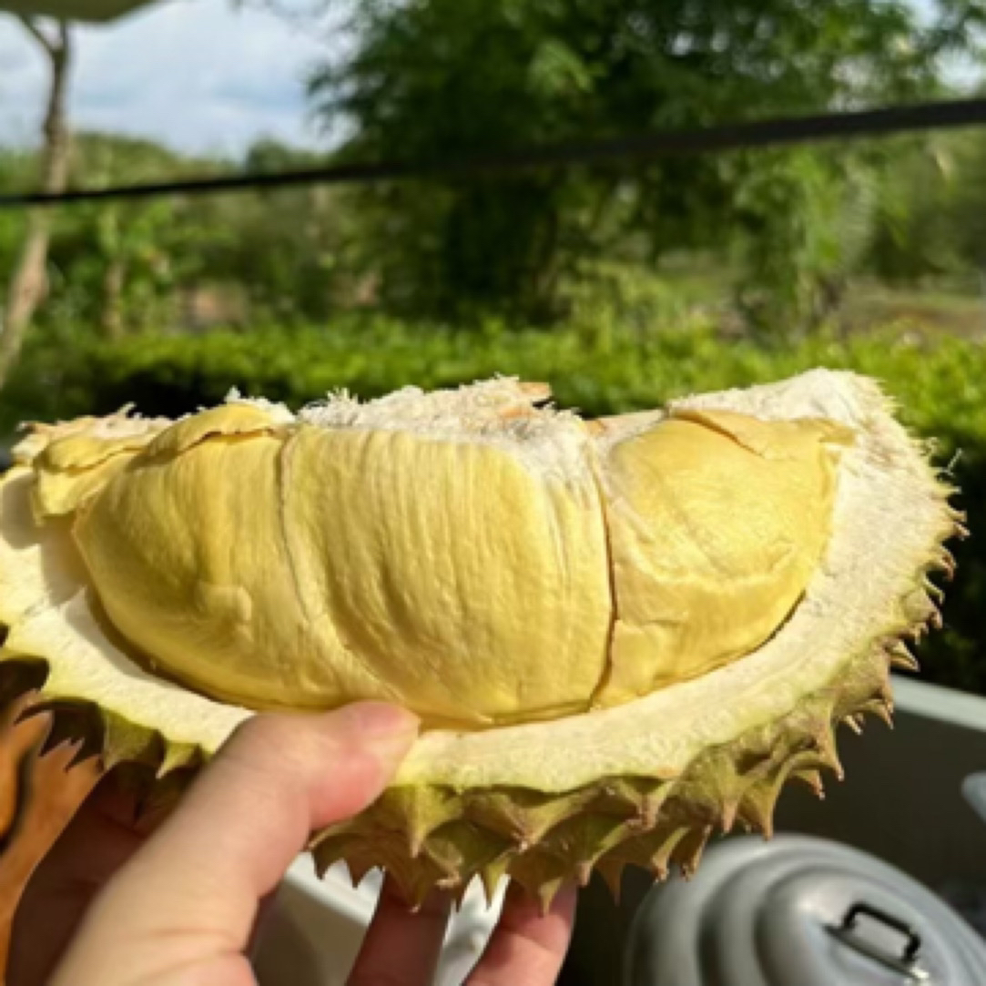 泰国鲜榴莲一物一拍同城配送，1克榴莲核小，有问题联系15856139920榴莲同城配金枕泰国
