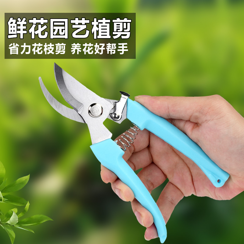 【养花必备】园林园艺修枝剪粗枝剪家用多功能剪花专用剪刀艺剪工具
