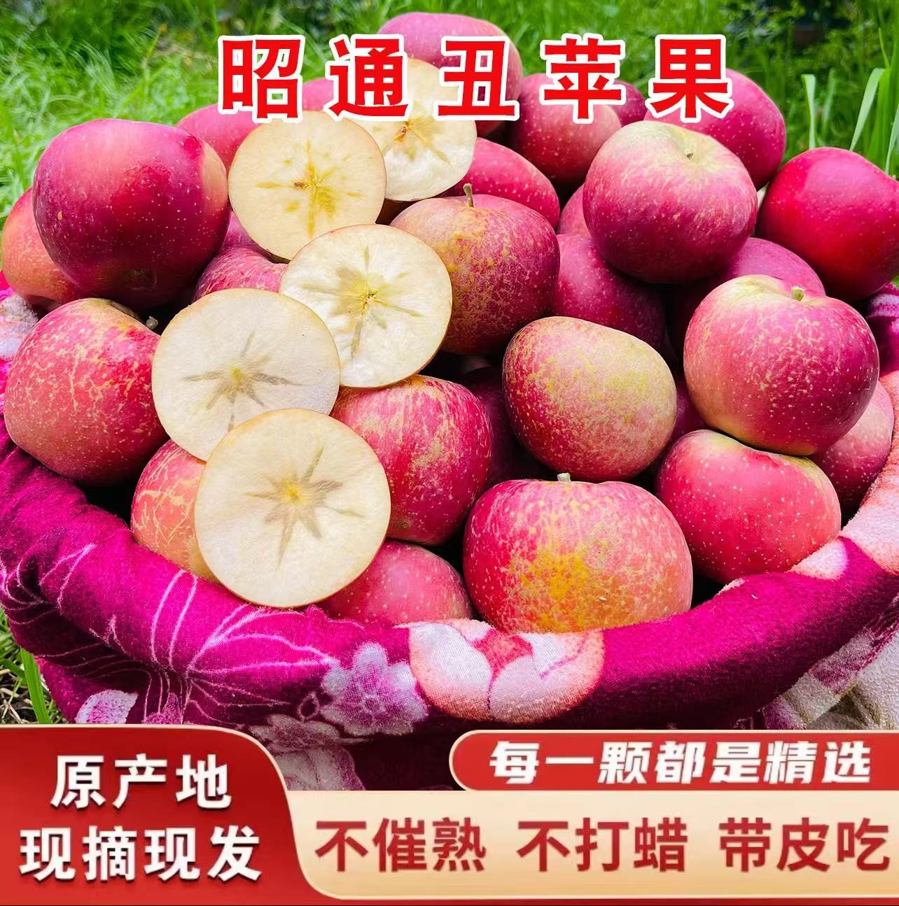 冰糖心苹果正宗云南昭通高山生态种植糖心丑苹果现摘现发10斤包邮