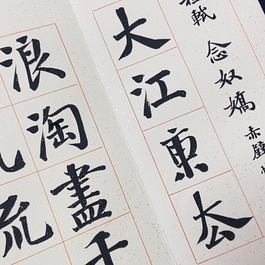 书法张建东老师书法作品