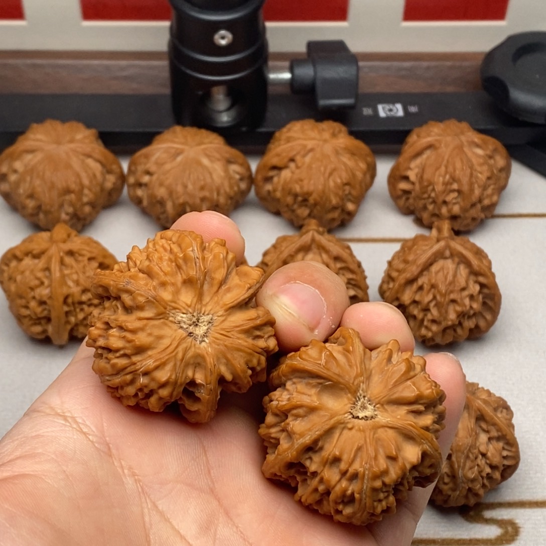 顺***。核桃全品货头御龙