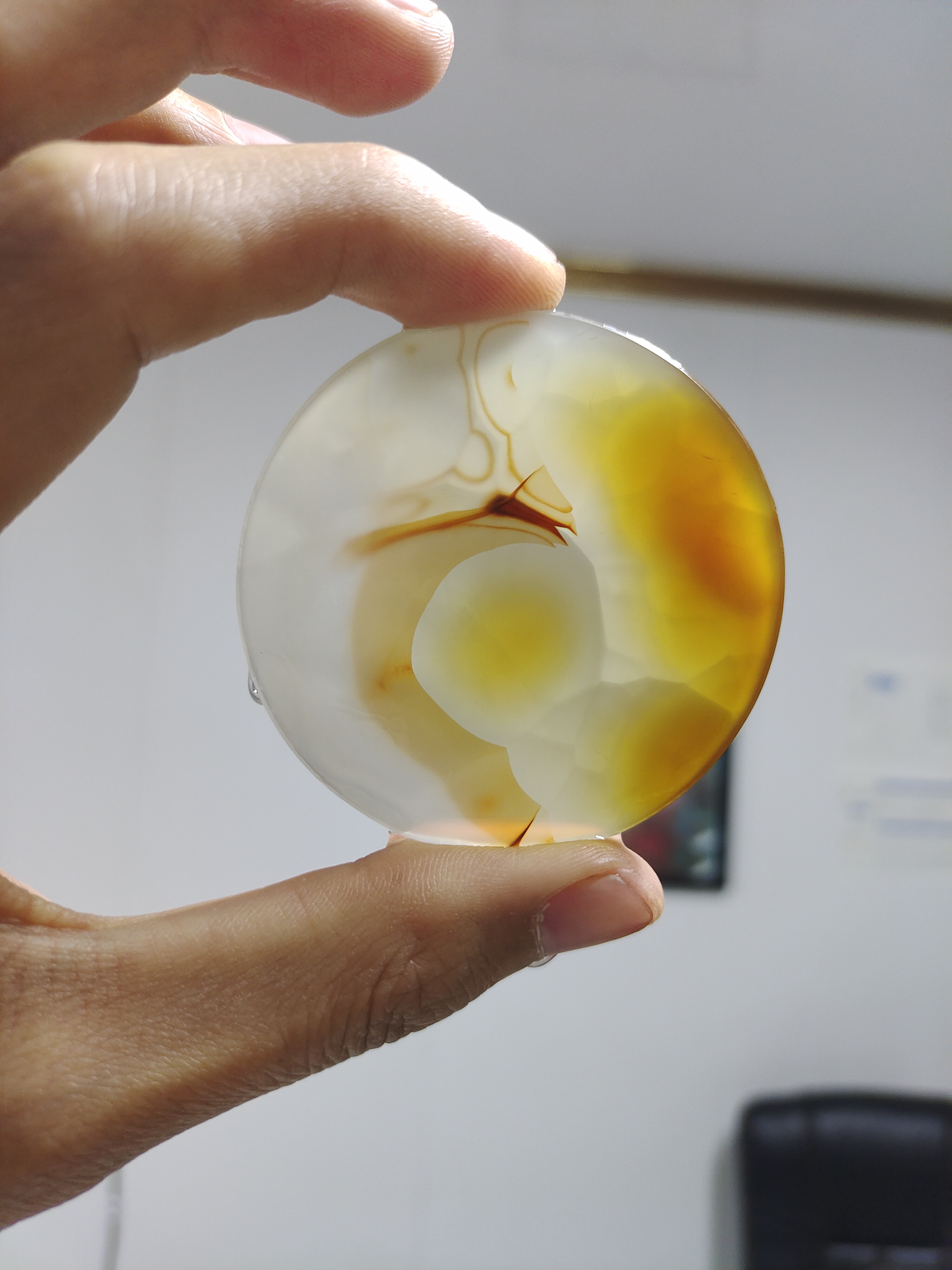 天然玛瑙像形牌 玉猪龙/玉龙