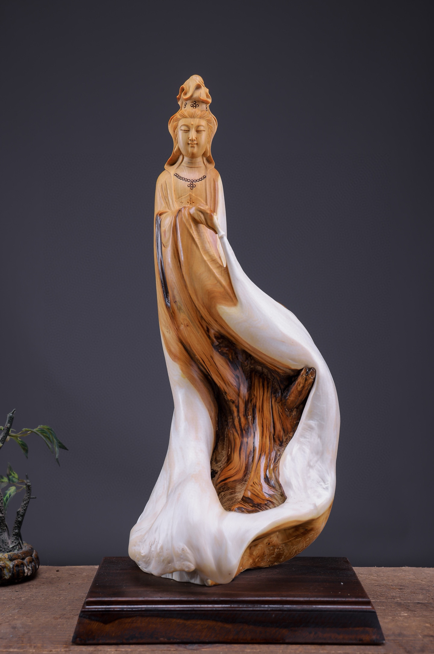 太行崖柏【观音】261652