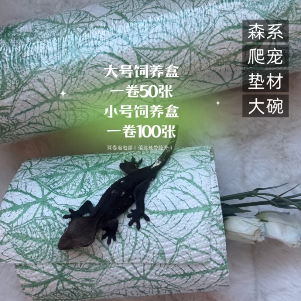 包邮擦桌子 纸巾 爬宠专用垫材纸适用于睫角盖勾亚巨人豹纹守宫