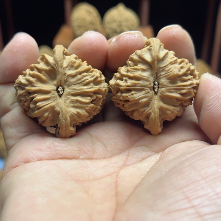 完全开放我****桃南疆石