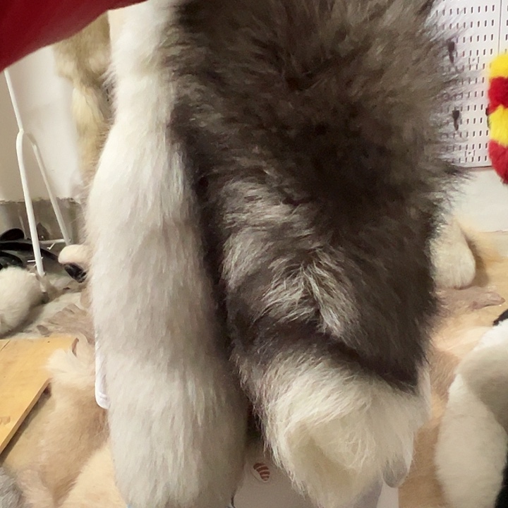 晟****围脖围脖围巾围脖