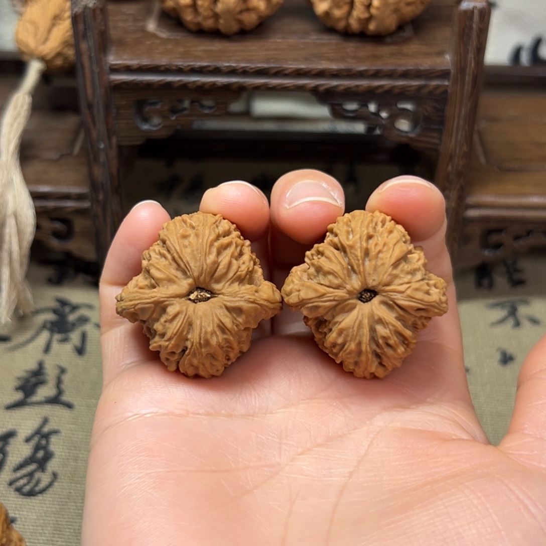 ****爹涿鹿原生态山地果