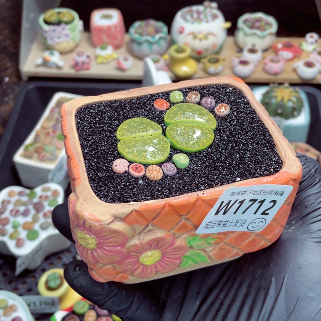 夜间零下地区拍保温箱w1712