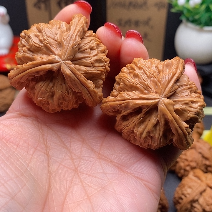 阳***玩核桃44拼接白狮子