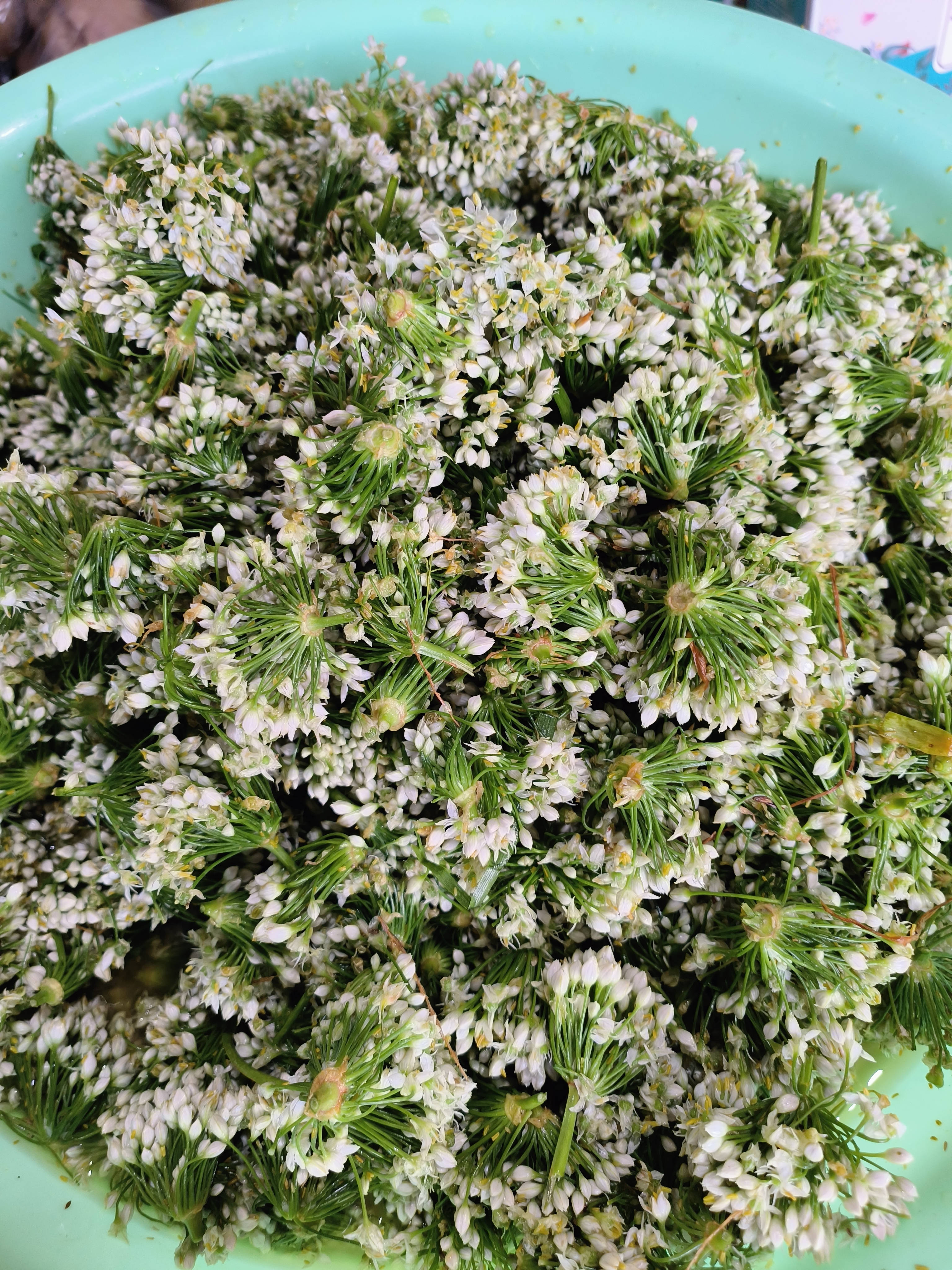 新鲜野生韭菜花大颗粒火锅涮肉蘸料韭花酱