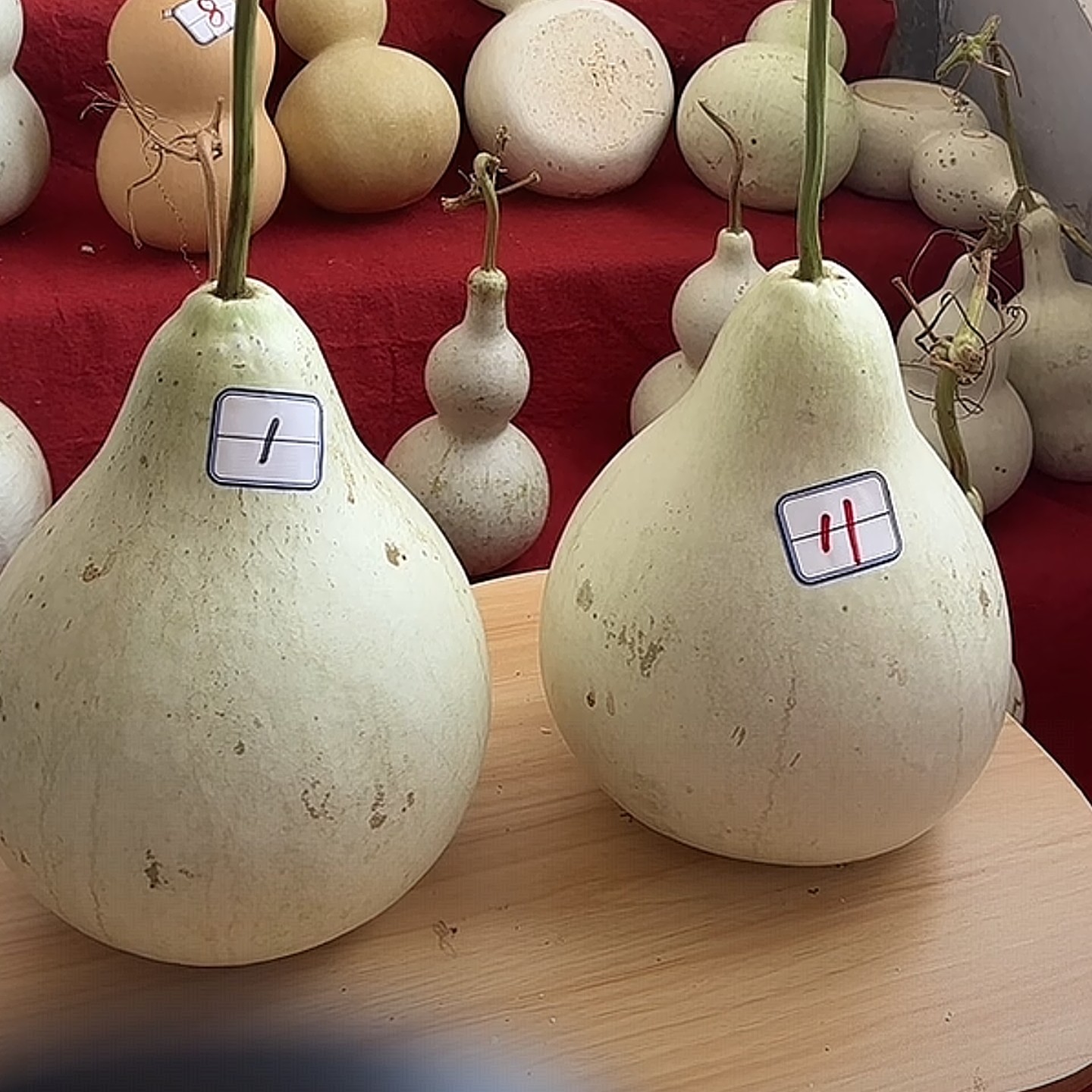 长嘴八宝葫芦，大瓢，夹扁