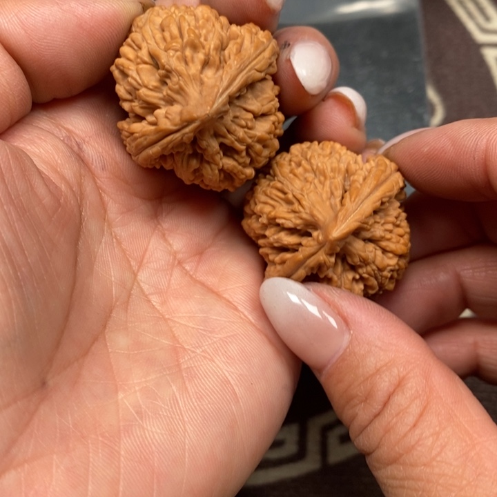 文玩核桃吊坠粗筋蚂蚁王全品