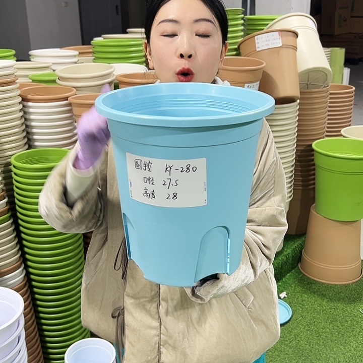 清仓圆控口27.5高28混色4只无托