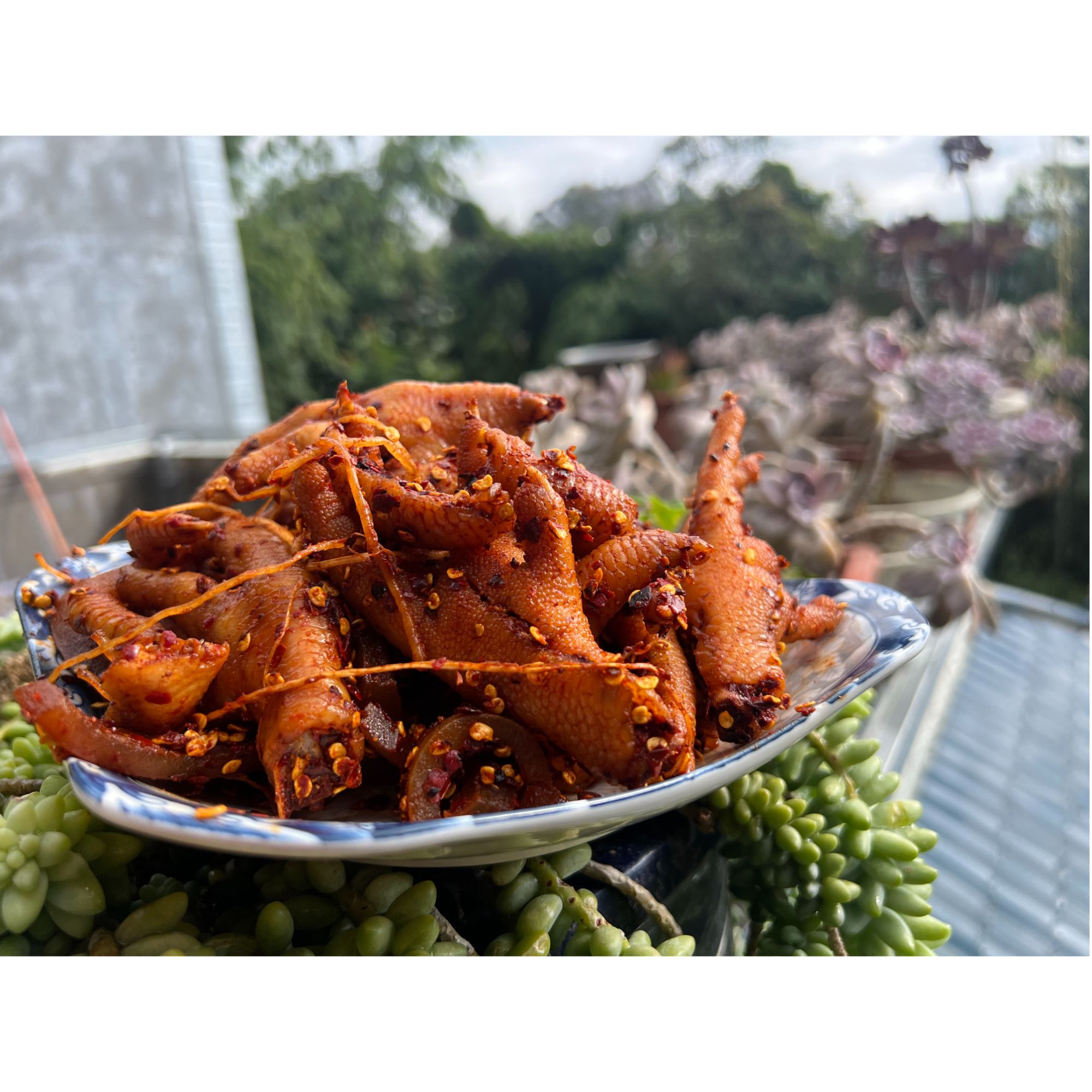 脚黄黄家土特产佤味鸡脚