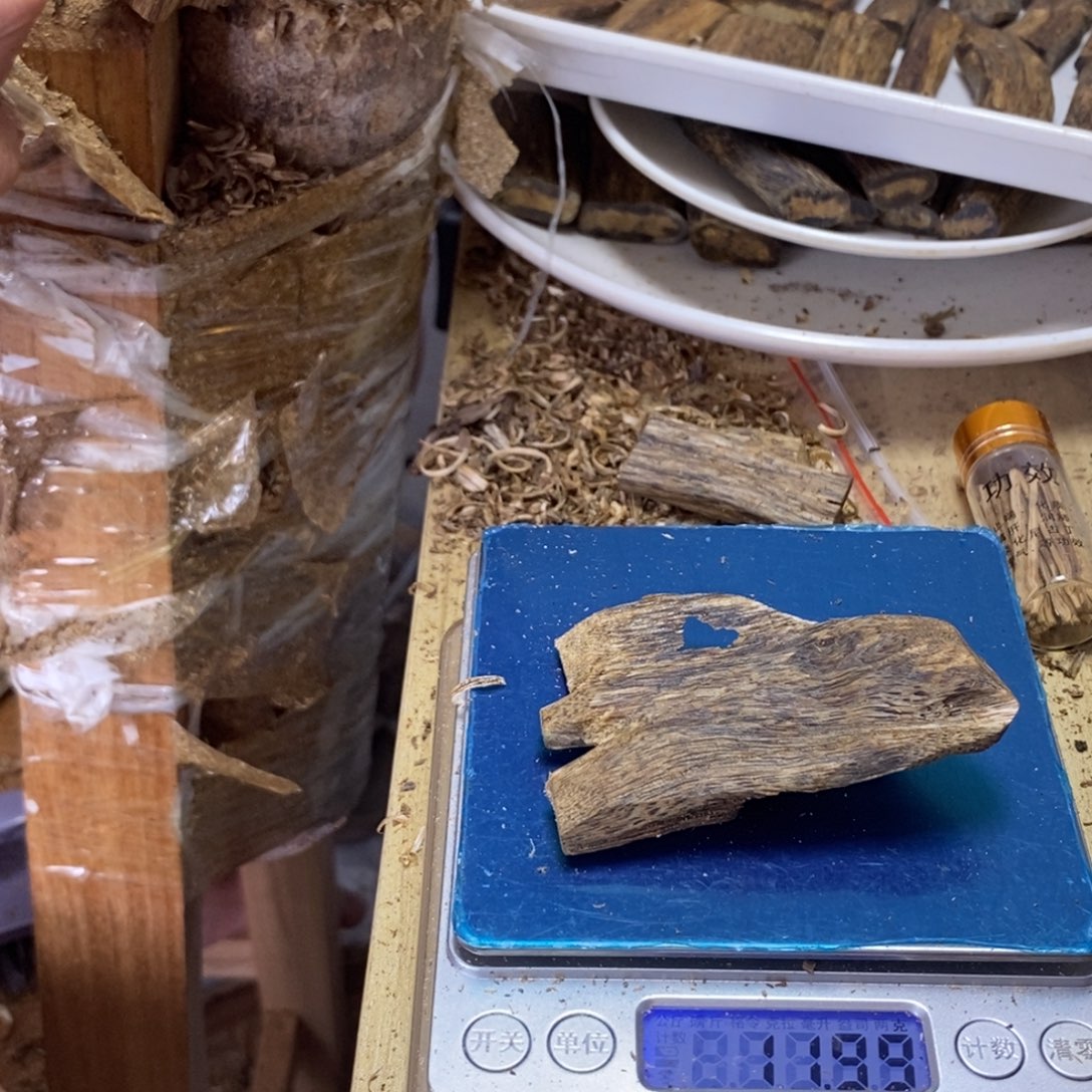 香料绿奇楠虫漏11克乌身