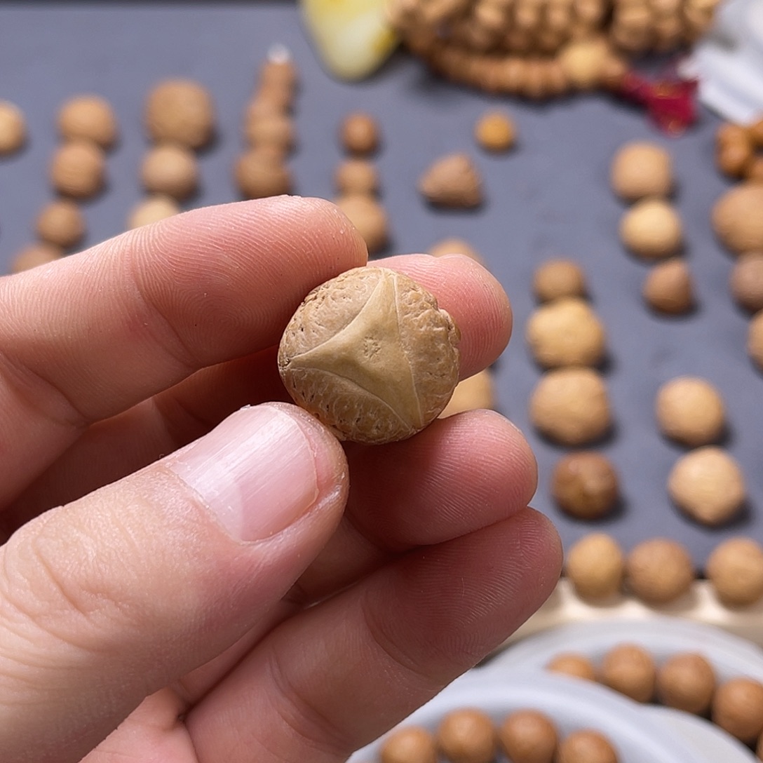 *****龙眼菩提吊坠20mm龙眼单颗