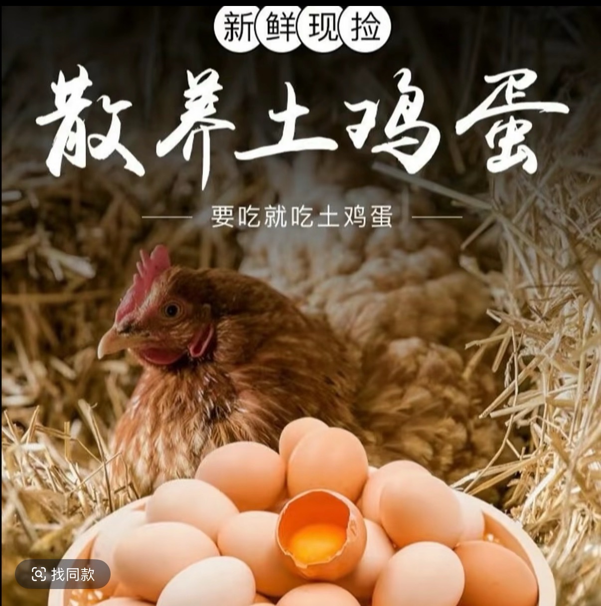 农家土鸡蛋山林散养新鲜营养鸡蛋整箱谷物喂养批发新鲜鸡蛋