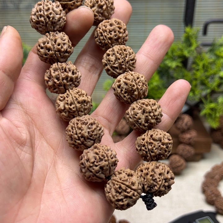 金刚菩提手串1原生态安娜蜂窝镂空