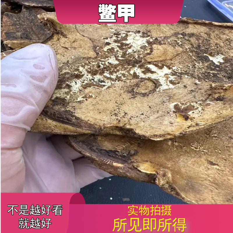 鳖甲中药材店铺中草药大全别名：鳖壳、甲鱼壳、团鱼壳、团鱼盖