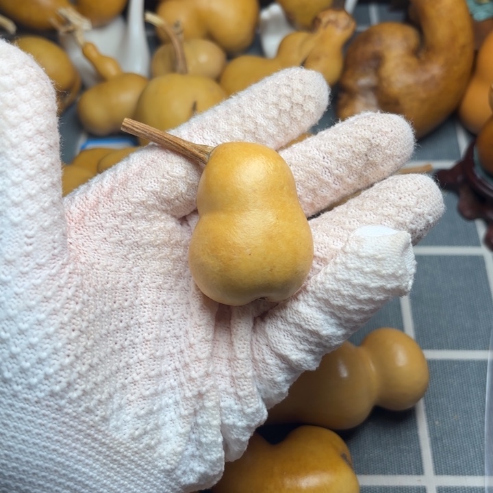 歌***葫芦坑6666666666666