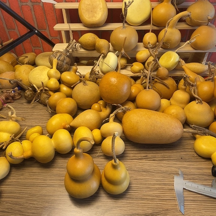 明***气羊羔毛哈哈哈哈哈哈哈哈哈哈