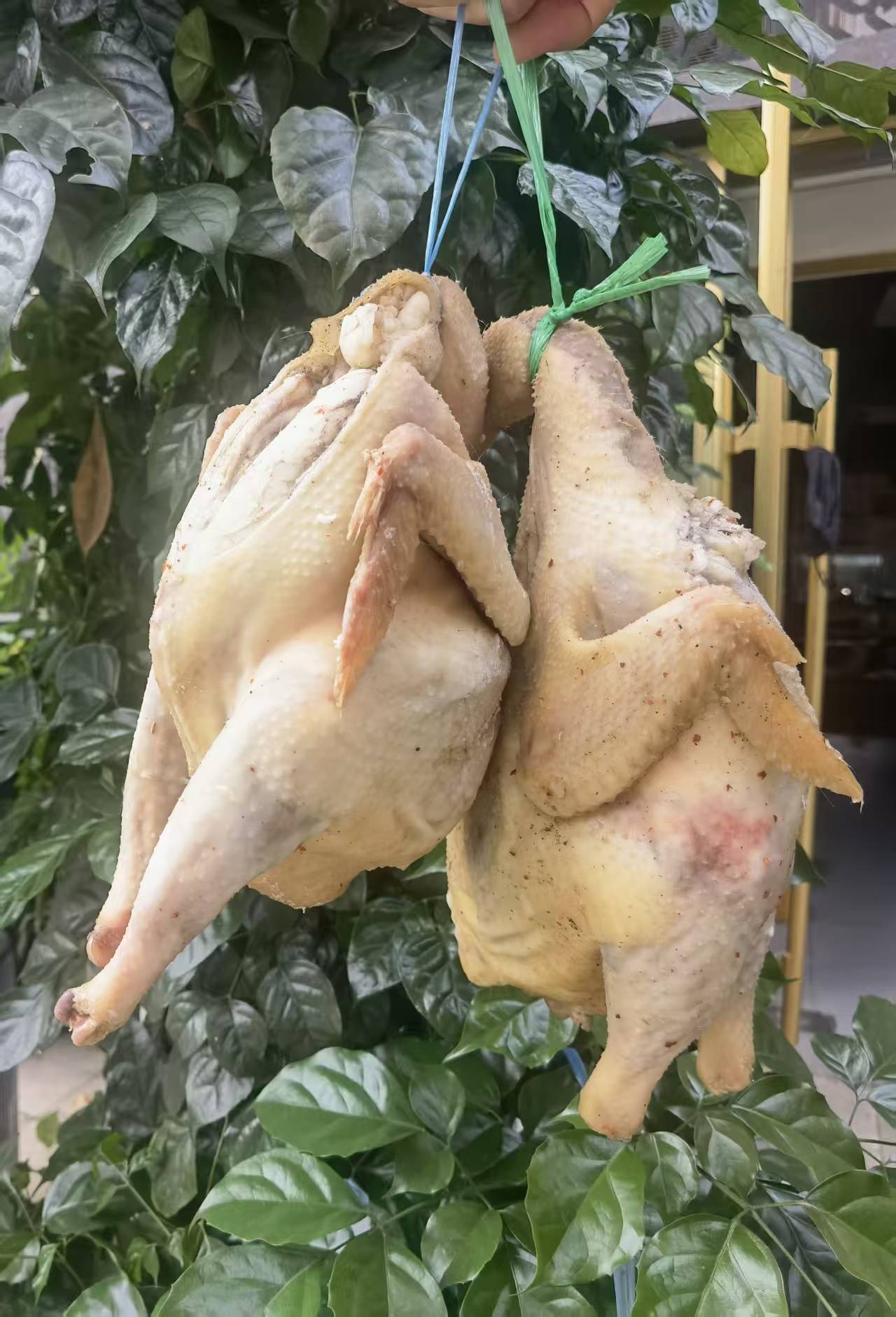 现杀腊鸡自制腌制