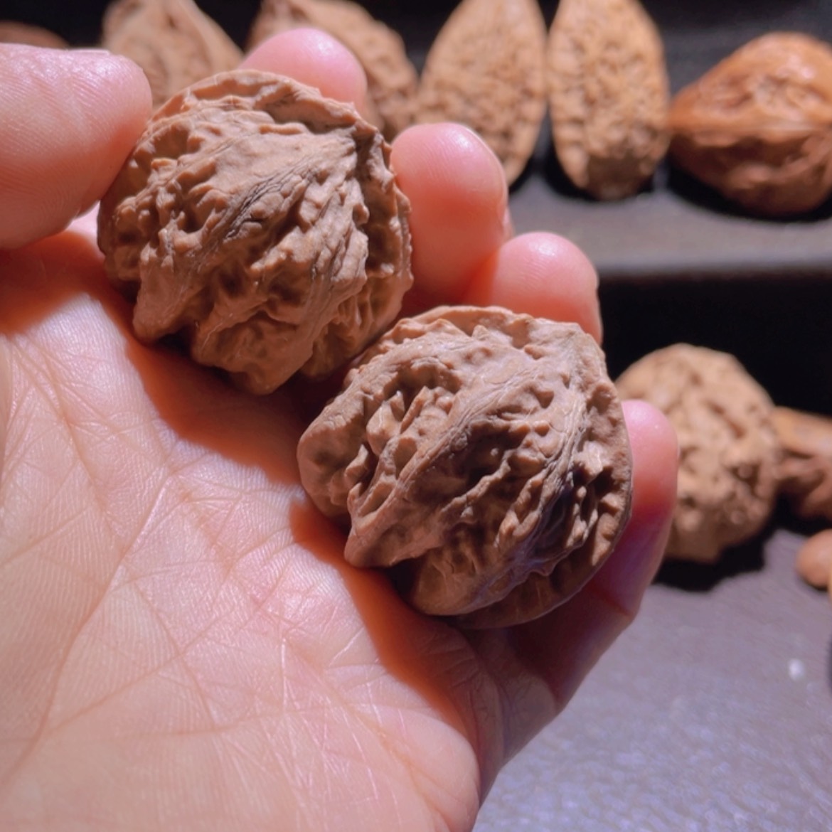 【闪购商品】文玩核桃把件东北楸子20