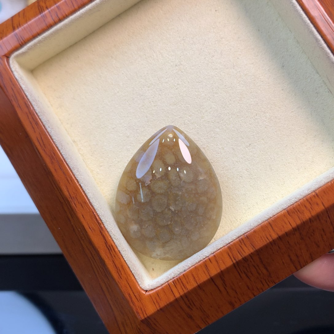 硅化珊瑚（珊瑚玉）颈饰未镶嵌