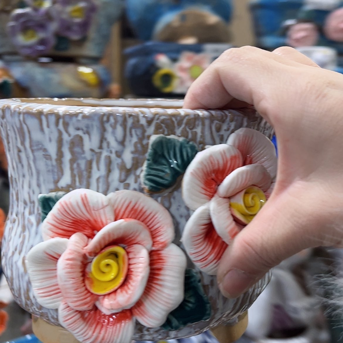 【闪购商品】红陶福利