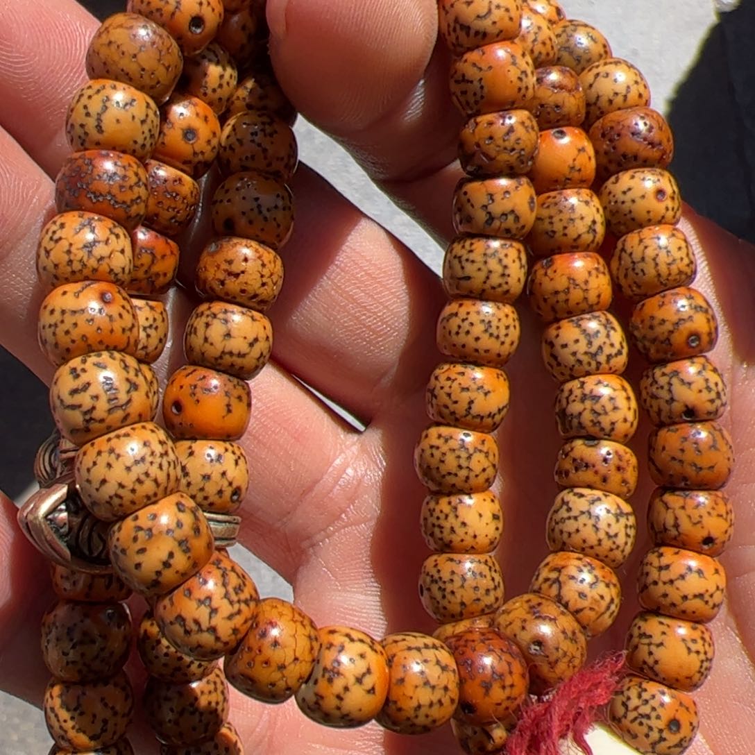 星月菩提手串星月菩提多人文玩