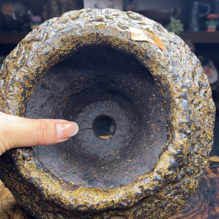 陶瓷制品不退不换31