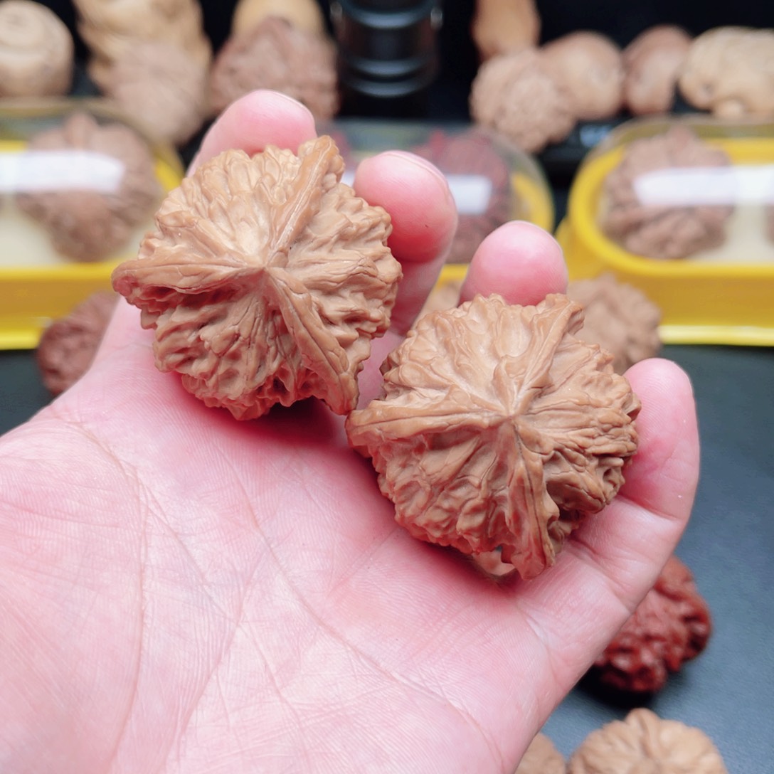 文玩核桃把件野生小众灯笼三棱42×41×41