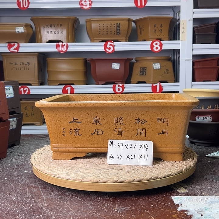 紫砂花盆蛇年大吉