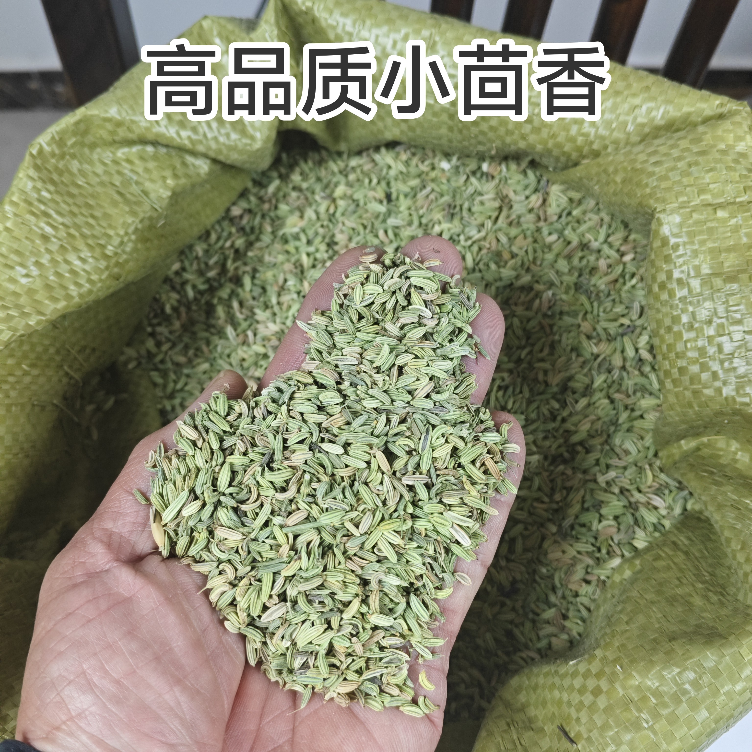 甘肃小茴香正宗小茴香炖肉卤肉增香干货调料香料新货提味