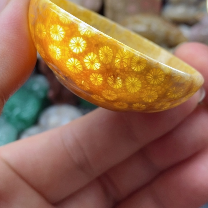 硅化珊瑚（珊瑚玉）颈饰未镶嵌