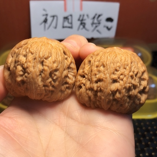 精品野生泥鳅背全品