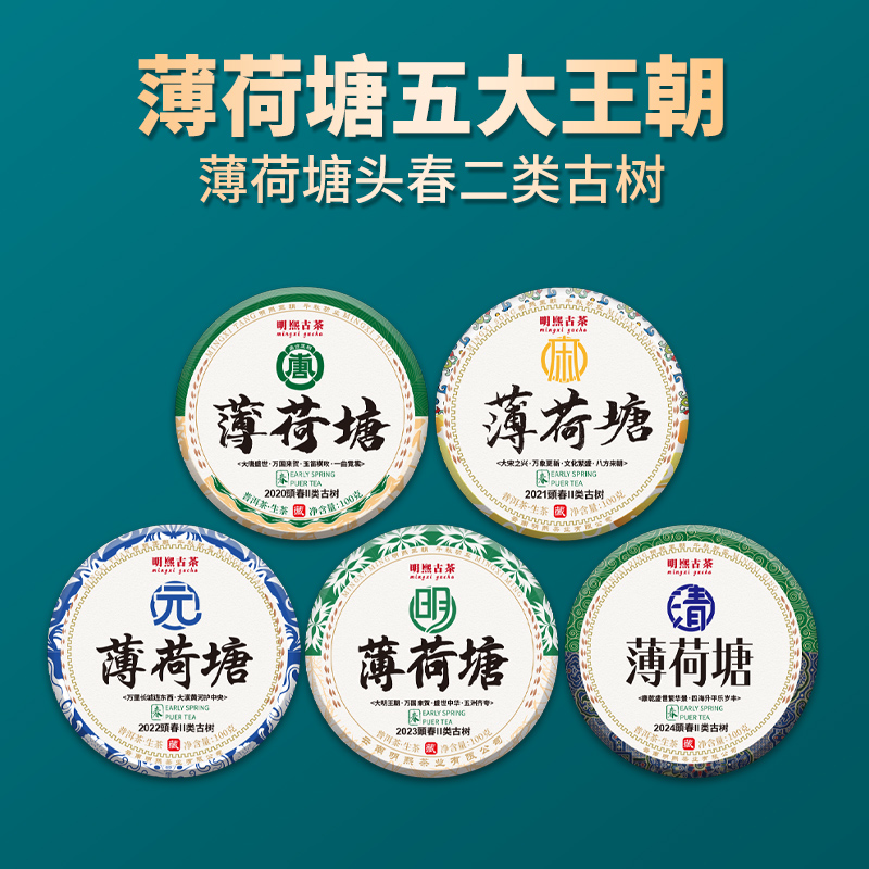 【明熙古茶】（0319）薄荷塘五大王朝五年五饼古树头春100克/饼