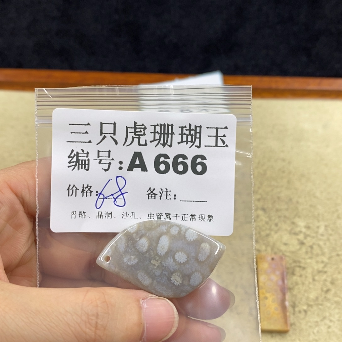 硅化珊瑚（珊瑚玉）1未镶嵌黄*