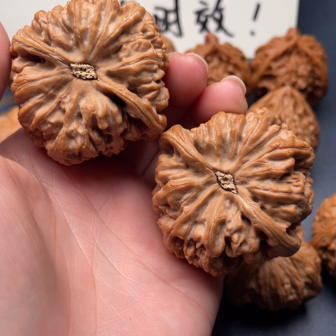 文玩核桃把件y****y粗筋47