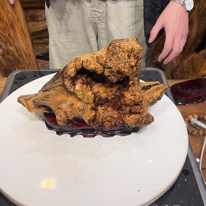 松木（琥珀木）向**福