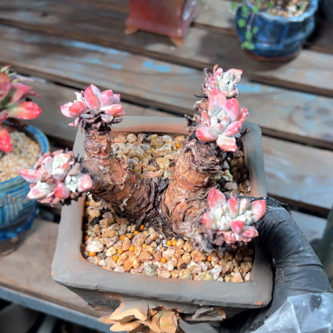 6309哈哈哈哈哈哈哈哈